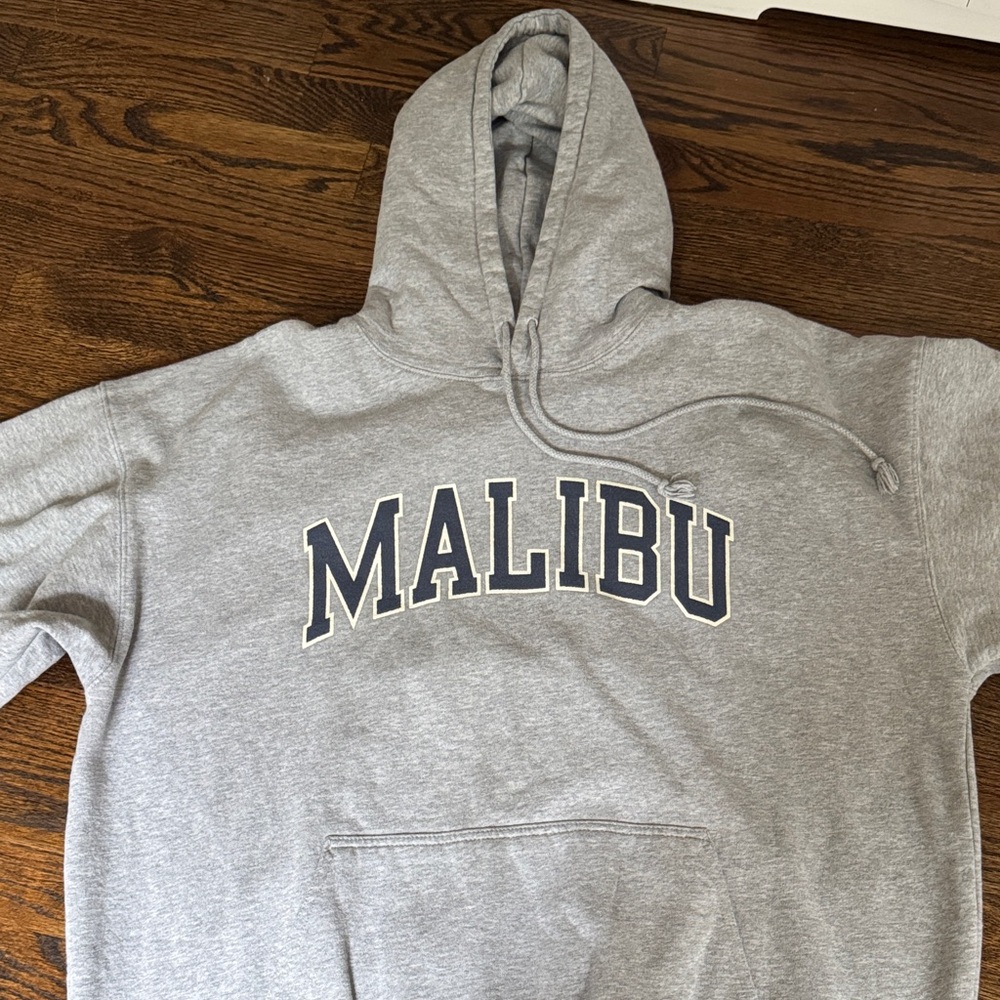 Brandy Melville Gray Malibu Hoodie